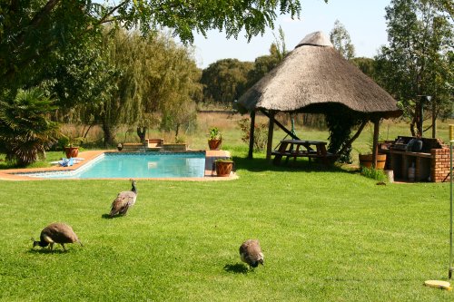 Airport Game Lodge (1)